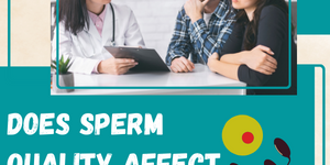 Does sperm quality affect IVF success?