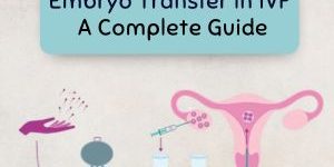 Embryo Transfer in IVF - A Complete Guide