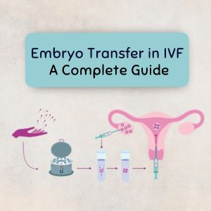 Embryo Transfer in IVF – A Complete Guide