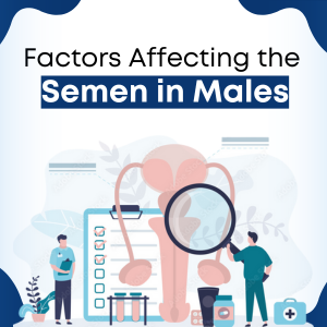 Factors affecting the semen in Males