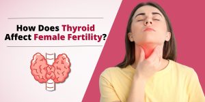 How Does Thyroid Affect Female Fertility?