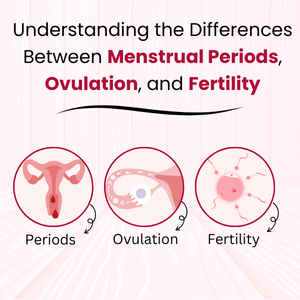 Understanding the Differences Between Menstrual Periods, Ovulation, and Fertility