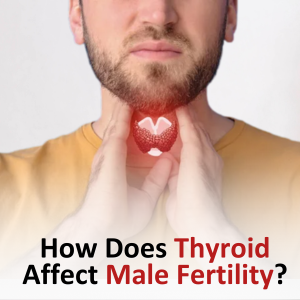 How Does Thyroid Affect Male Fertility?