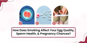 How Does Smoking Affect Your Egg Quality, Sperm Health, & Pregnancy Chances?