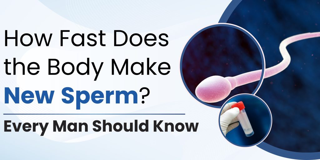 How Fast Does the Body Make New Sperm?
