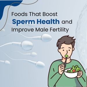 Top Foods That Boost Sperm Count and Improve Male Fertility