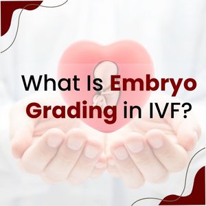 What is Embryo Grading? – A User’s Guide from SRI IVF Patiala