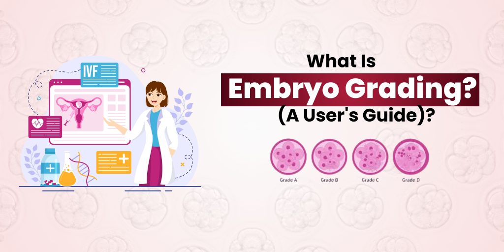 What is Embryo Grading